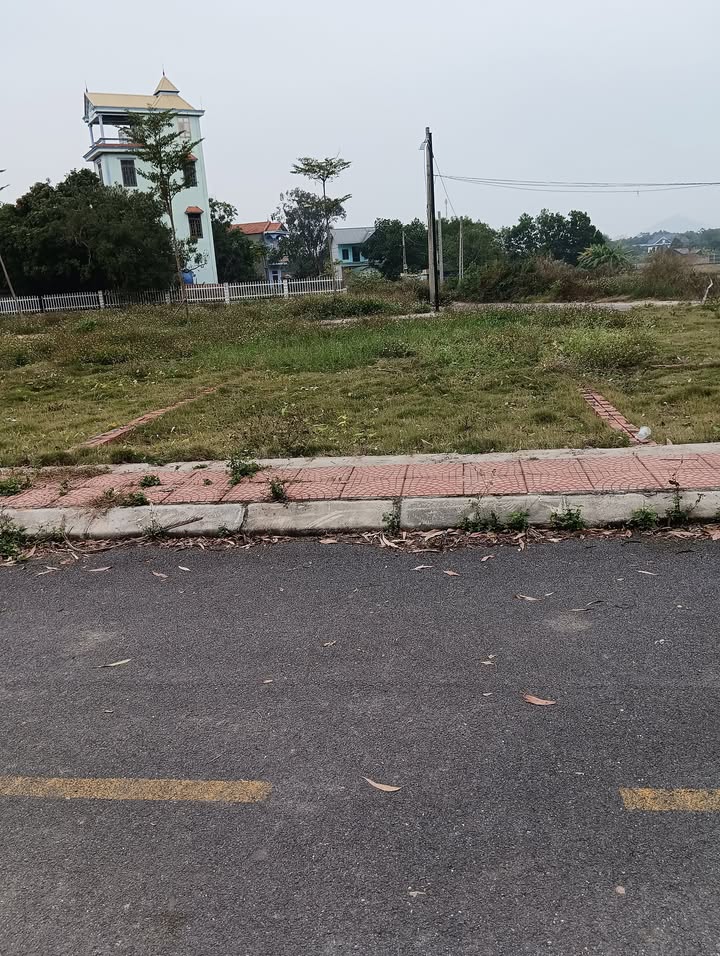 Đất Gò Gạo, Minh Trí 96.3m² giá 1.95 tỷ - Mặt tiền 5m, ô tô tránh nhau thoải mái!