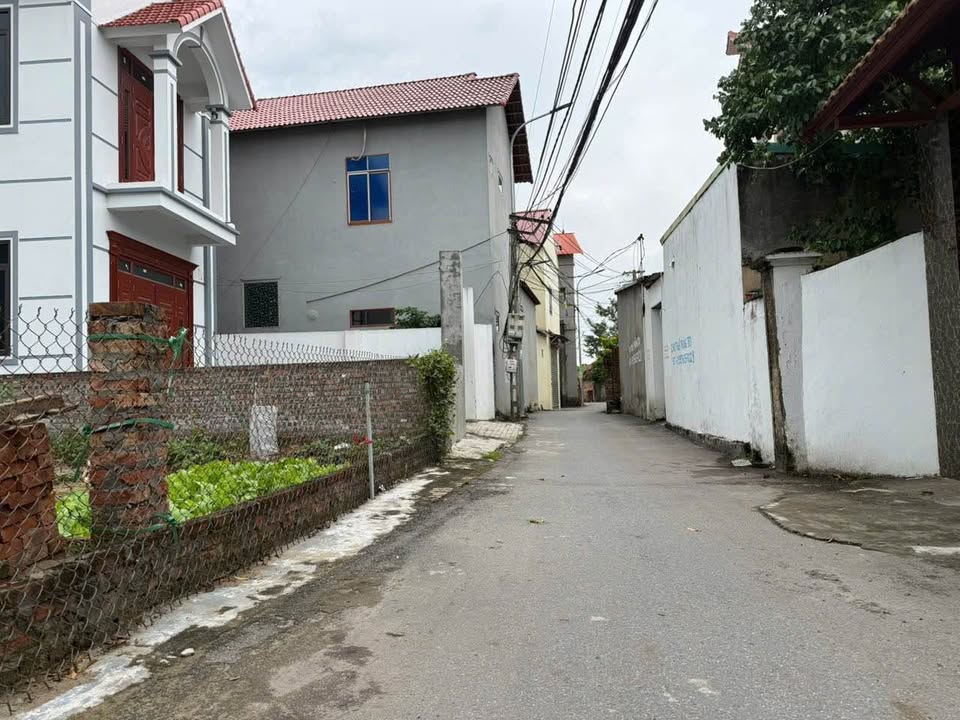 Đất thổ cư Nhân Nghĩa, Mê Linh 115m² giá 2 tỷ - Lô góc đẹp, cơ hội đầu tư tuyệt vời!