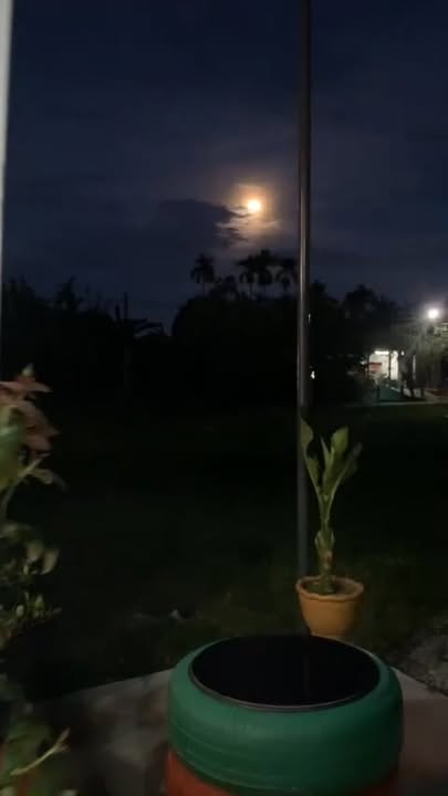 Cho thuê mặt bằng kinh doanh tại đường Số 2, Đại Đồng, 3 triệu/tháng - Tiềm năng phát triển cao!