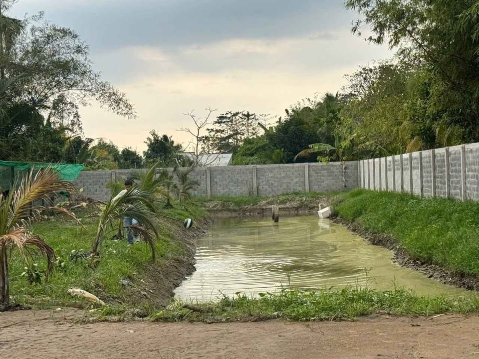 Đất vườn Nhơn Nghĩa Phong Điền 1.695m² giá 4.1 tỷ - Cơ hội đầu tư sinh lời!