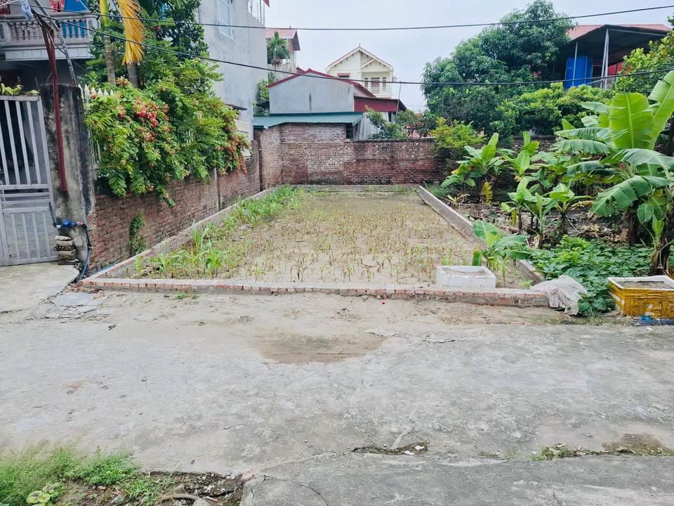 Đất An Bình, Thuận Thành 96m² giá 1 tỷ - Tiềm năng đầu tư lớn!