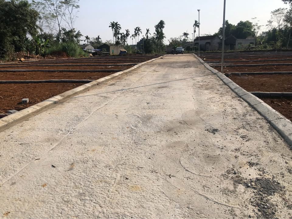 Đất nền Thạch Quảng - Thạch Thành 120m² giá chỉ 200 triệu - Đầu tư sinh lời ngay!