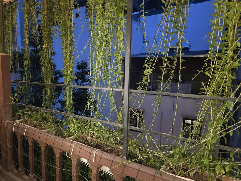 Cho thuê Small House 1N1K tại Ngõ 6 Vạn Phúc, Ba Đình - Yên tĩnh và tiện nghi