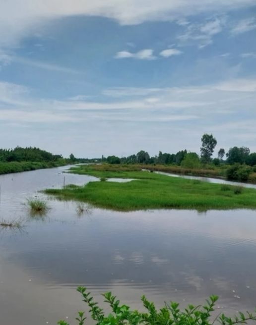 Đất nền Phú Thuận, Cà Mau 10,000m² giá chỉ 1 tỷ - Cơ hội đầu tư tuyệt vời!