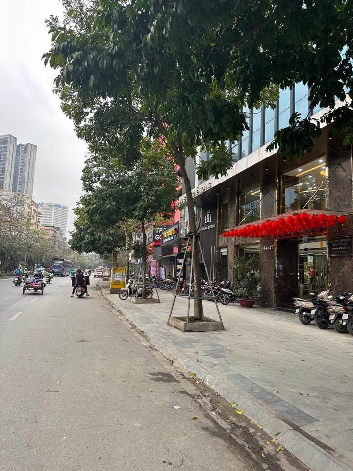 Nhà riêng phố Nguyễn Hoàng, Mỹ Đình 40m² giá 11.5 tỷ - Đầu tư sinh lời ngay!