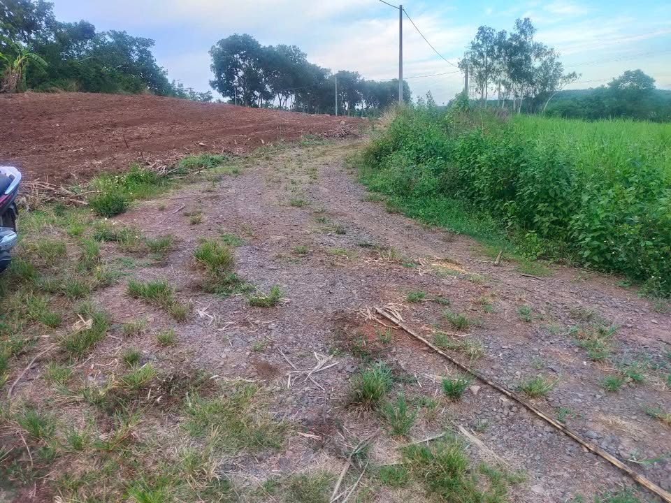 Đất nền 3351m² tại xã Hưng Thịnh - Mặt tiền đường đá, giá thỏa thuận!