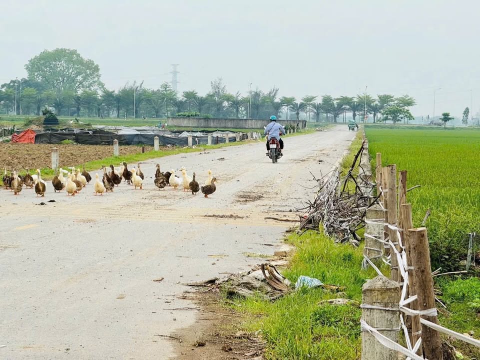 Đất lô góc Thanh Văn 58.2m² - Vị trí đẹp, giá thỏa thuận!