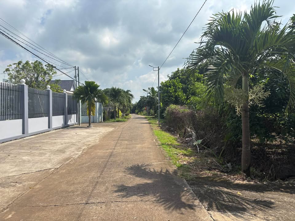 Đất nền Bảo Vinh Long Khánh 130m² giá 8xx triệu - Cơ hội đầu tư sinh lời cao!