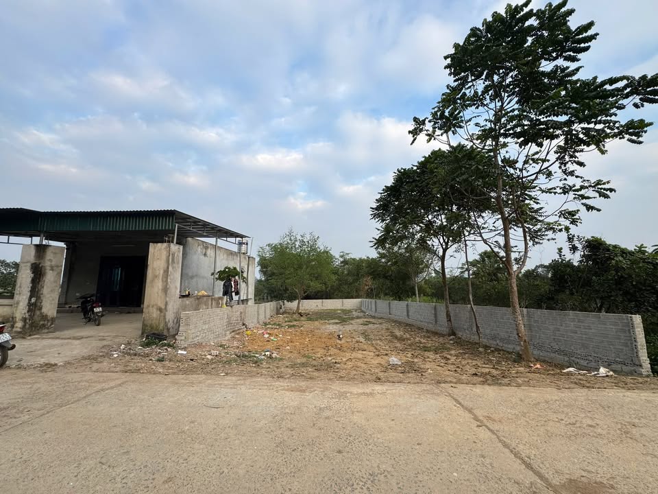 Đất thổ cư Yên Trị, Yên Lập, Phú Thọ 200m² - Giá thỏa thuận, sổ đỏ chính chủ!