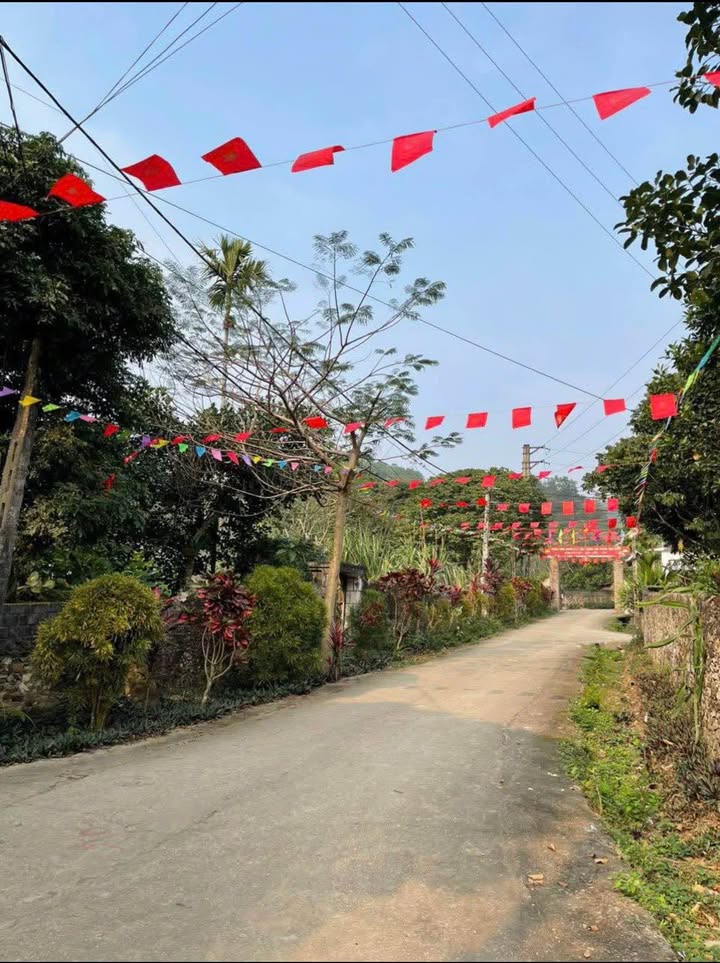 Đất nền Lương Sơn Hòa Bình 493m² chỉ 3 tỷ - Lô góc 3 mặt thoáng tuyệt đẹp!