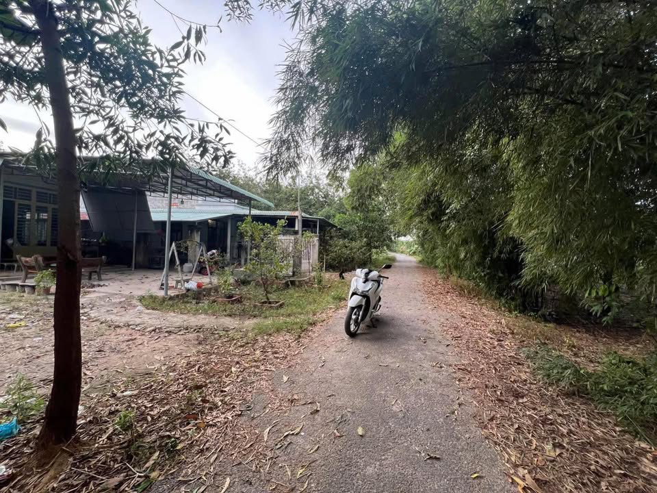 Đất thổ cư 270m² tại Thạnh Bình, Tân Biên - Giá chỉ 300 triệu, vị trí đẹp!