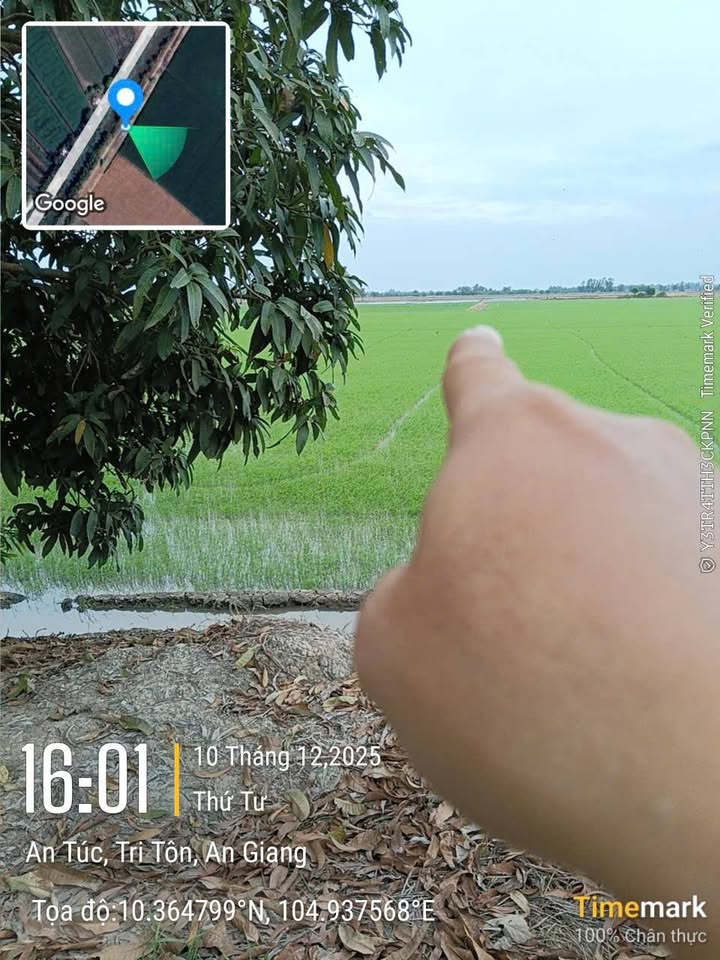 Đất nông nghiệp 29 công tại xã Vĩnh Gia, An Giang - Giá tốt, đầu tư sinh lời!