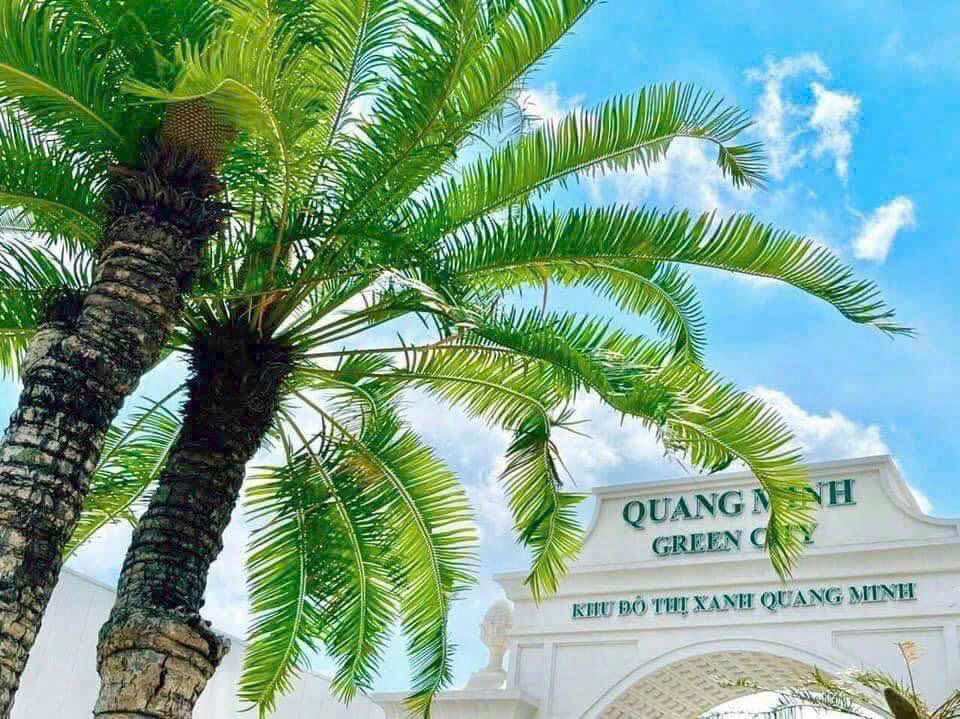 Đất dự án Tân Quang Minh, Thủy Nguyên, Hải Phòng - 75m² giá thỏa thuận - Cơ hội đầu tư vàng!