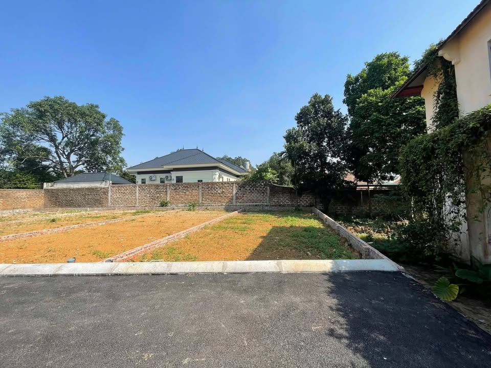 Đất nền Cổ Đông Sơn Tây 101m² giá 2 tỷ - Sổ đỏ chính chủ, ô tô vào tận nơi!