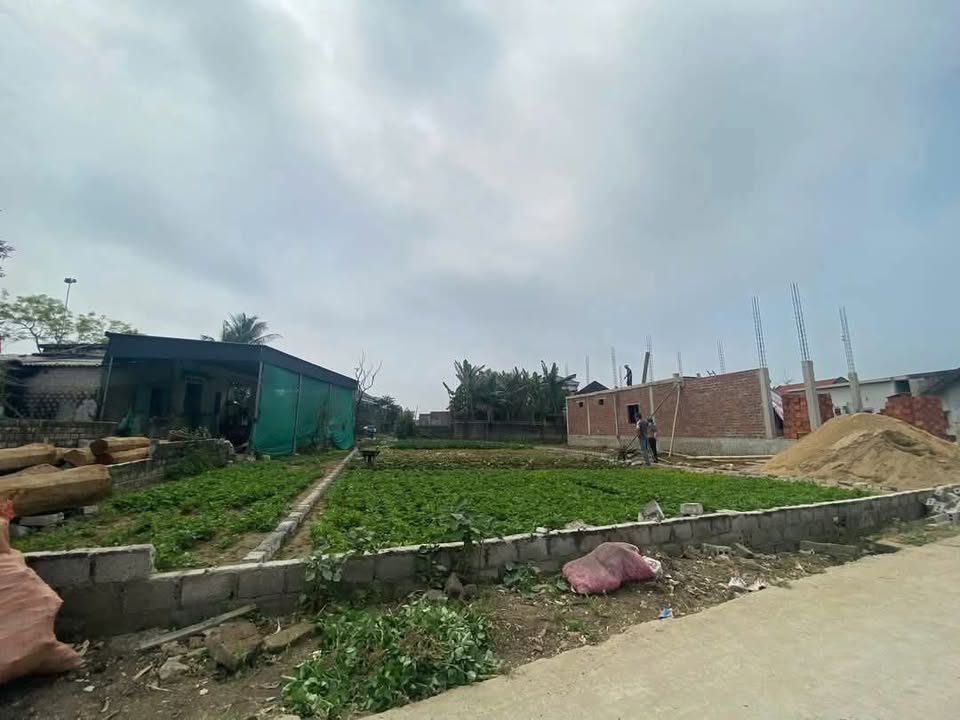 Đất nền Xuân Lâm Nghi Sơn 300m² giá 1.28 tỷ - Tiềm năng đầu tư vượt trội!