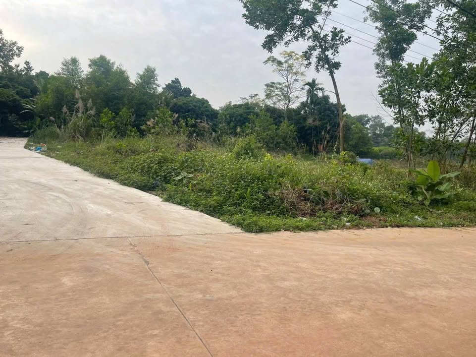 Đất thổ cư Thịnh Đán, 141m² giá chỉ 1.3 tỷ - Đầu tư sinh lời ngay!