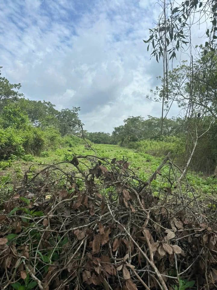 Đất sào Gia Canh Định Quán 3600m² giá 320 triệu - Cần bán gấp!