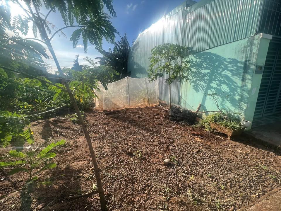 Đất thổ cư mặt đường A2, phường Cư Êbur, 88.85m² chỉ 1.58 tỷ - Cơ hội đầu tư tuyệt vời!