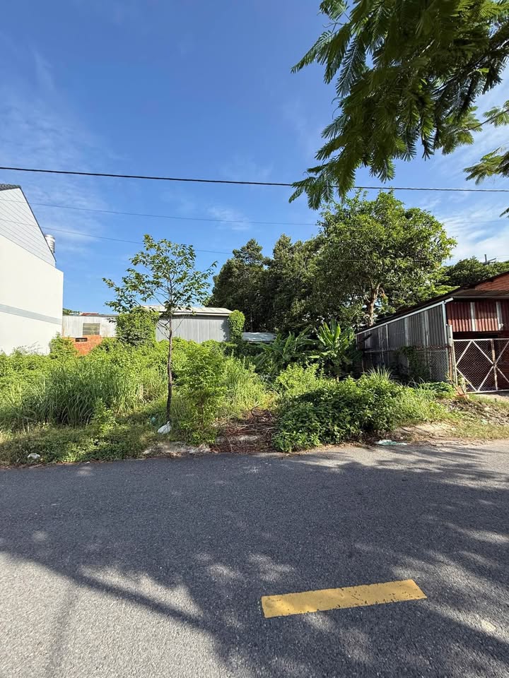 Đất nền khu phố 5, phường Tân Ninh, Tây Ninh 118m² - Nở hậu, giá tốt!