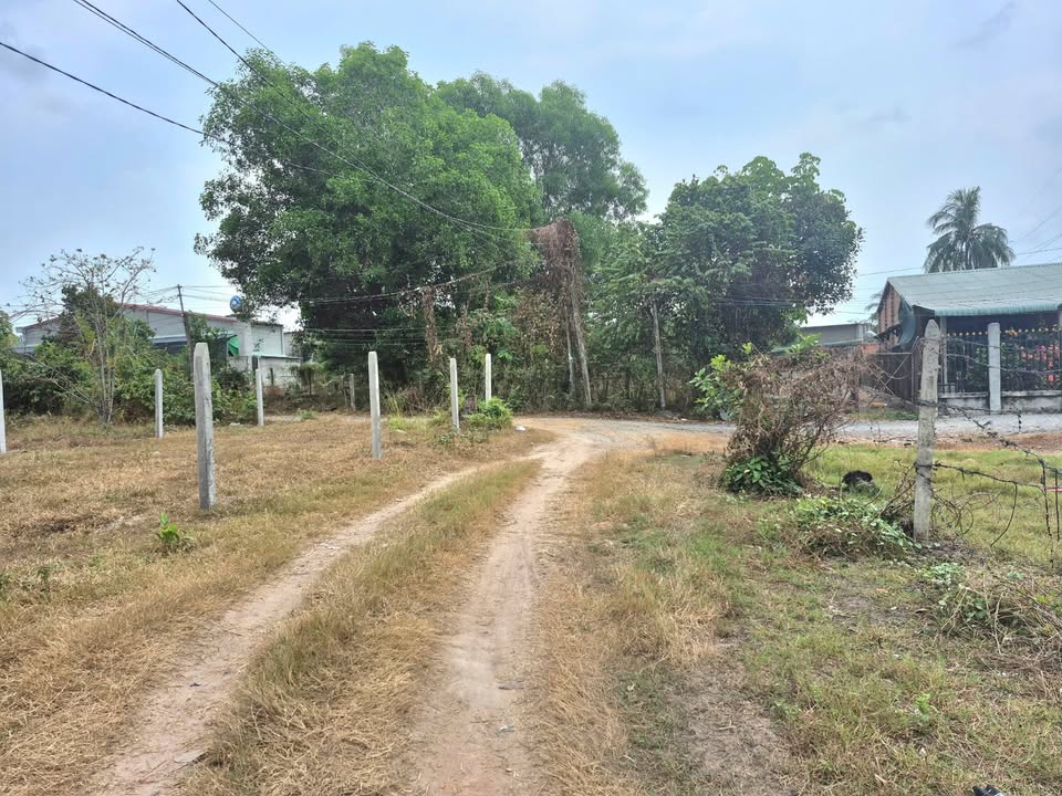 Đất nền 2 mặt tiền 196m² tại Phước Đông, Gò Dầu - Giá chỉ 820 triệu!