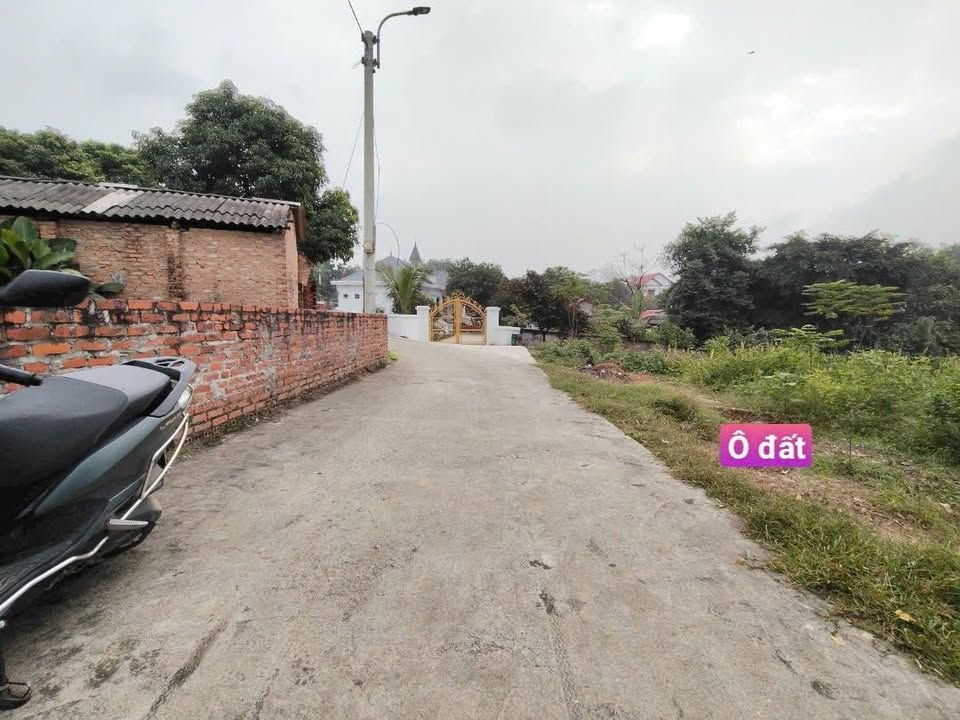 Đất thổ cư 112m² tại Thôn Đình, Thanh Vân, Tam Dương - Giá chỉ 12xx triệu!