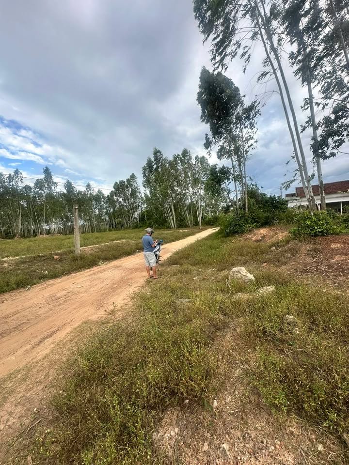 Đất thổ cư Tân Hòa Cát Tân 200m² giá thỏa thuận - Đầu tư sinh lời ngay!