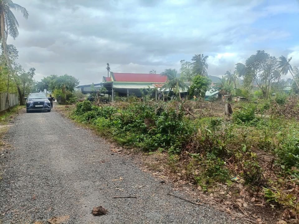 Đất nền Cát Hanh, Phù Cát 200m² giá thỏa thuận - Cơ hội đầu tư hấp dẫn!