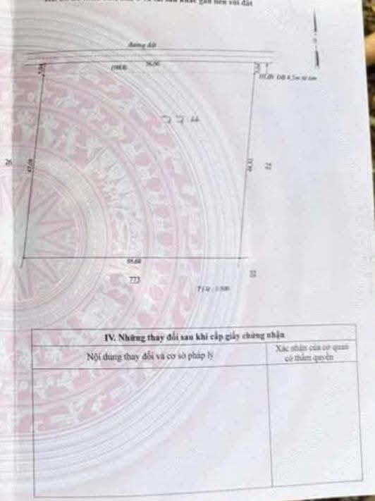 Đất nền Tân Hưng Hớn Quản 300m² giá 800 triệu - Cơ hội đầu tư tuyệt vời!