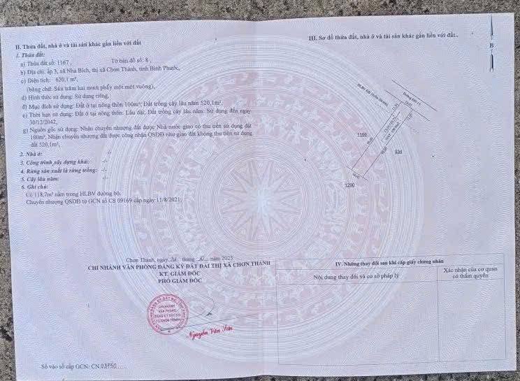 Đất nền Dương Gia Trang Nha Bích 100m² giá 1.4 tỷ - Cơ hội đầu tư hấp dẫn!