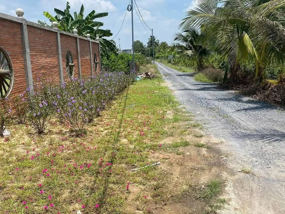 Đất vườn 10.000m² Bình Đức - Bến Lức, giá 13 tỷ - Giảm giá sốc, sở hữu ngay!