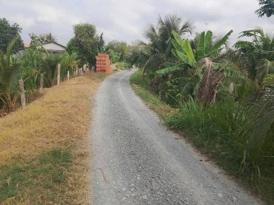 Đất nông nghiệp 2600m² tại xã Thanh Phú Long, Châu Thành - Giá chỉ 530 triệu VND thương lượng!