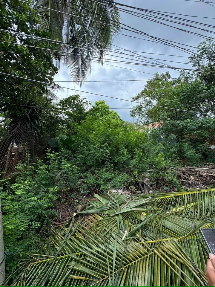 Đất thổ cư 95m² tại Thị Trấn Bến Lức, Long An - Giá 1.1 tỷ, Thích hợp đầu tư!