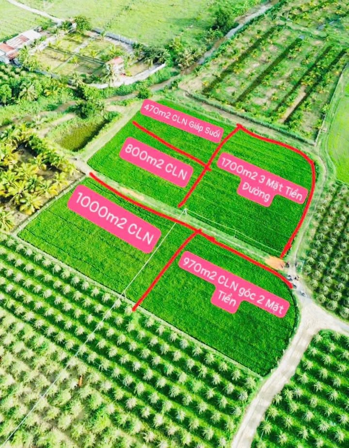 Đất nền Hàm Chính 500m² giá 299 triệu - Sổ đỏ chính chủ, ô tô tận đất!