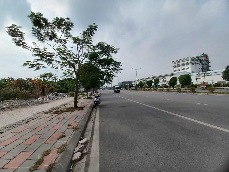 Đất dự án An Đồng, An Dương 790m² - Đầu tư sinh lời ngay!