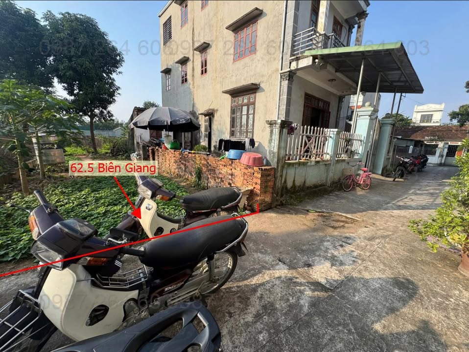 Đất nền Biên Giang, Hà Đông 62.5m² giá 3 tỷ - Sổ hồng chính chủ, vị trí đắc địa!