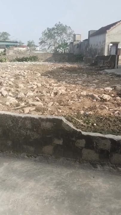 Đất thổ cư thôn 5, xã Quỳnh Bá, huyện Quỳnh Lưu 267m² giá 1 tỷ - Cơ hội đầu tư hấp dẫn!