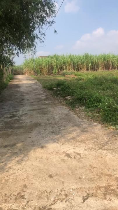 Đất nền Nghĩa Thọ, Nghĩa Đàn 180m² giá tốt - Lô góc 2 mặt tiền