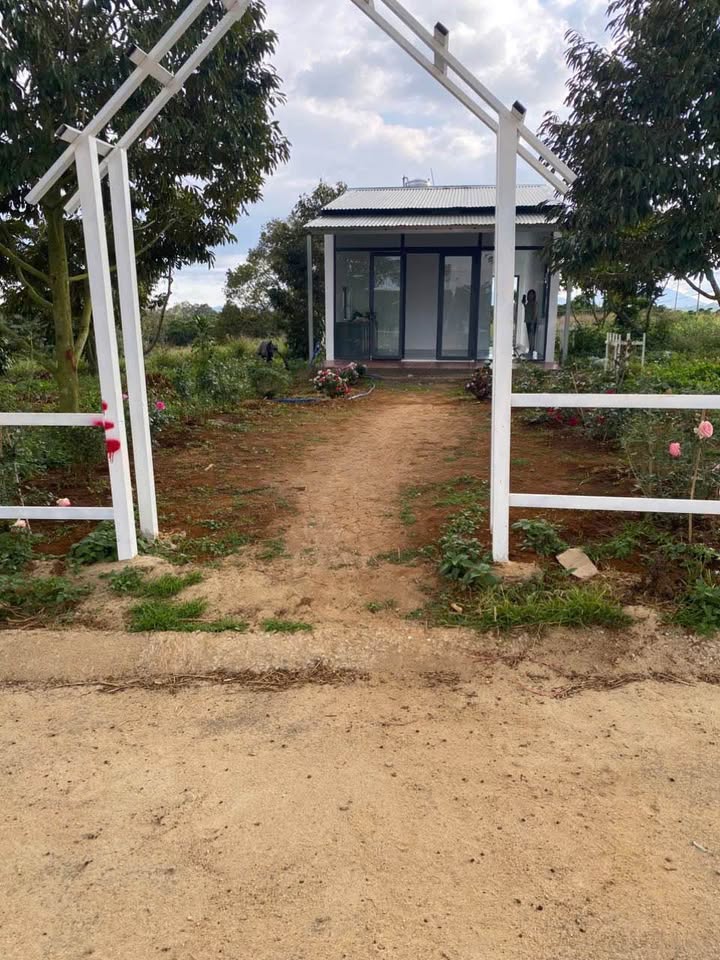 Đất thổ cư thôn 1 Tân Lạc 139.2m² giá 950 triệu - Cơ hội đầu tư tuyệt vời!