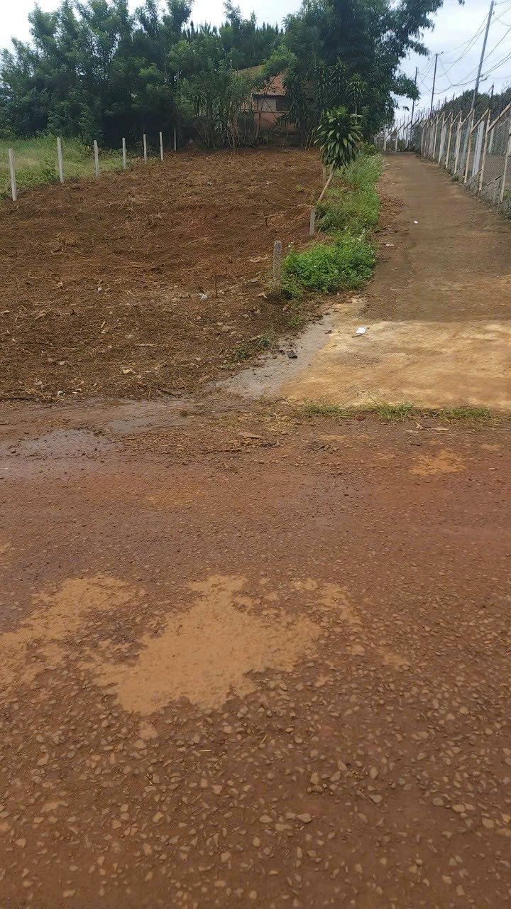 Đất nền lô góc 2 mặt tiền Trần Tế Xương, Bảo Lộc 342m² giá 3.24 tỷ - Đầu tư sinh lời ngay!