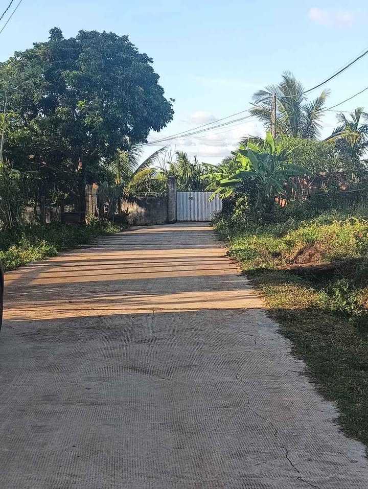 Đất nền Bùi Đình Túy, Bình Thạnh 2000m² giá 24.294 tỷ - Đầu tư sinh lời khả thi!