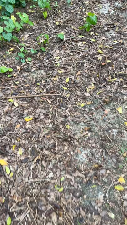 Đất thổ cư 400m² tại Tiên Hội, Đại Từ 7000m² - Giá chỉ 3 tỷ