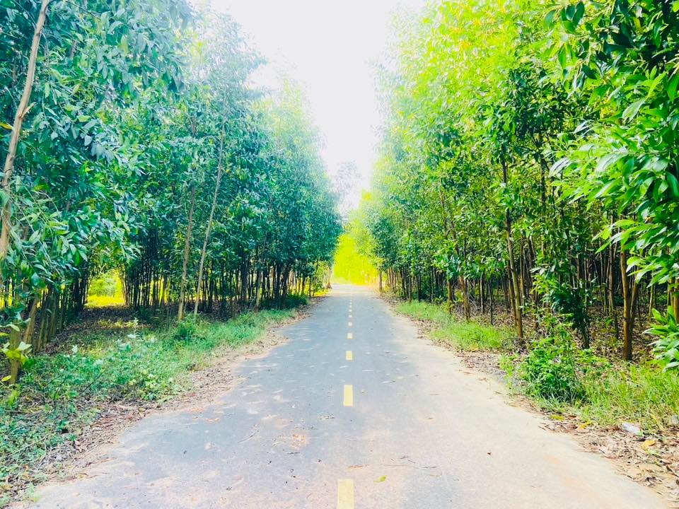 Đất nền Hòa Hội, Xuyên Mộc 10000m² giá 6.5 tỷ - Cơ hội đầu tư hấp dẫn!