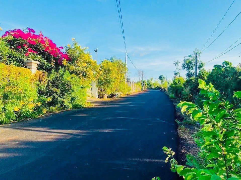 Đất nền xã Xuyên Mộc, Bà Rịa - Vũng Tàu 1578m² - Tiềm năng sinh lời cao!