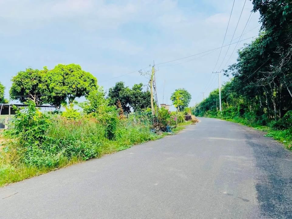 Đất nền Xuyên Mộc, Bà Rịa - Vũng Tàu 2000m² giá 2 tỷ - Đầu tư sinh lời ngay!