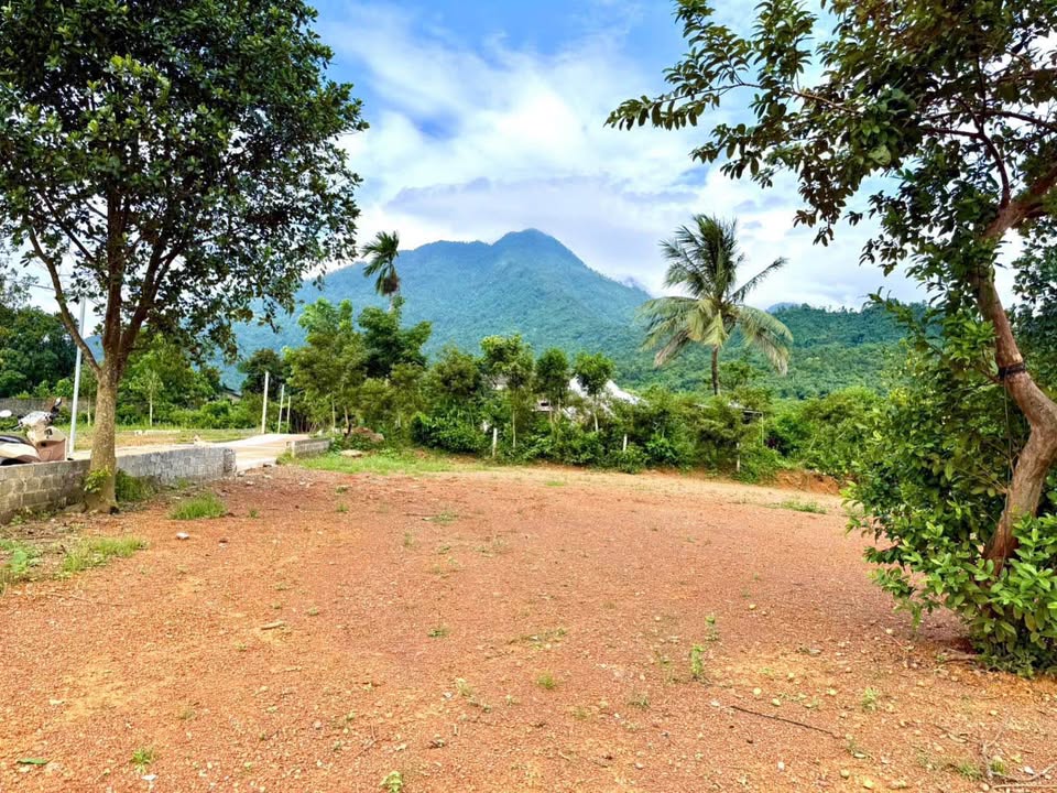 Đất nghỉ dưỡng Vân Hoà, Ba Vì 996m² giá 6 tỷ - Cơ hội đầu tư tuyệt vời!