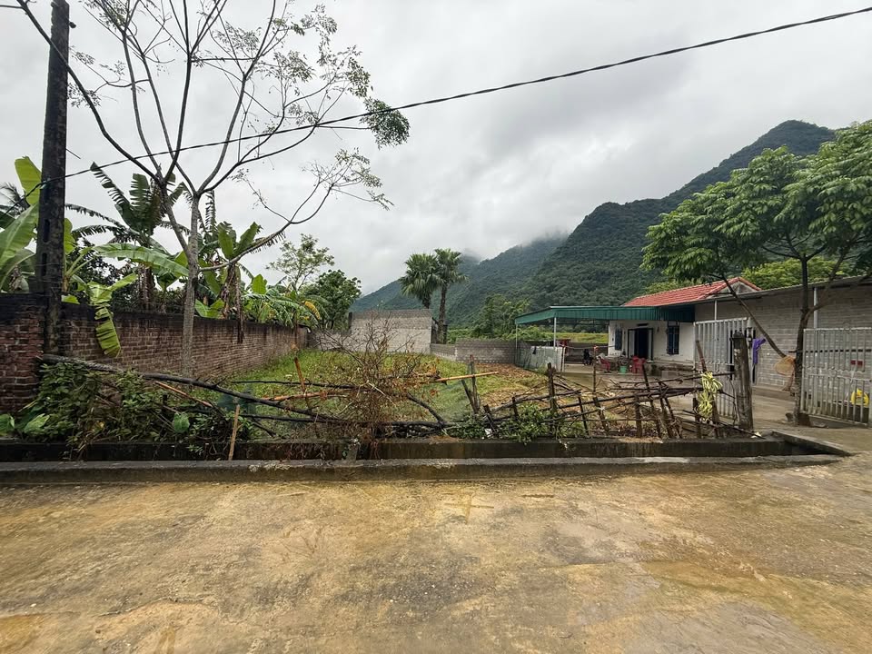 Đất thổ cư 250m² tại Yên Trị, Phú Thọ - Gần hồ sinh thái Tân Thành