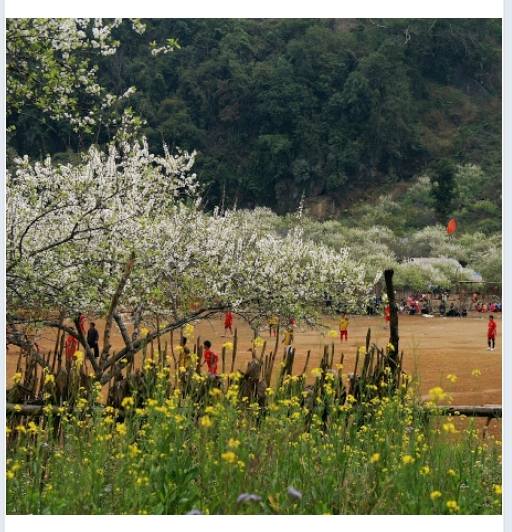 Đất thổ cư Mộc Sơn 105m² giá 1.85 tỷ - Đầu tư sinh lời ngay!