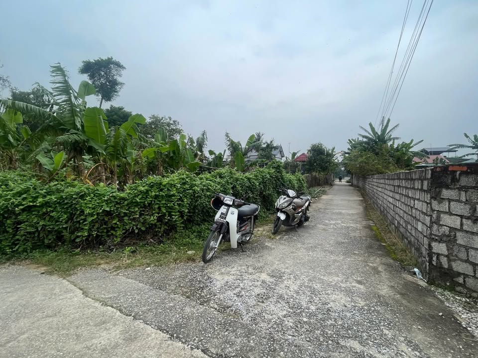 Đất thổ cư Quảng Hùng, Sầm Sơn 120m² giá 700 triệu - Đầu tư tuyệt vời!