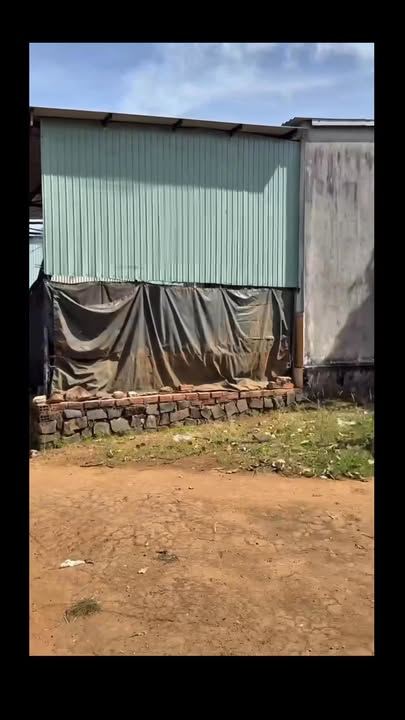 Đất Farm 1ha tại xã Ia Tô, Ia Grai, Gia Lai giá 2.5 tỷ - Đầu tư sinh lời ngay!