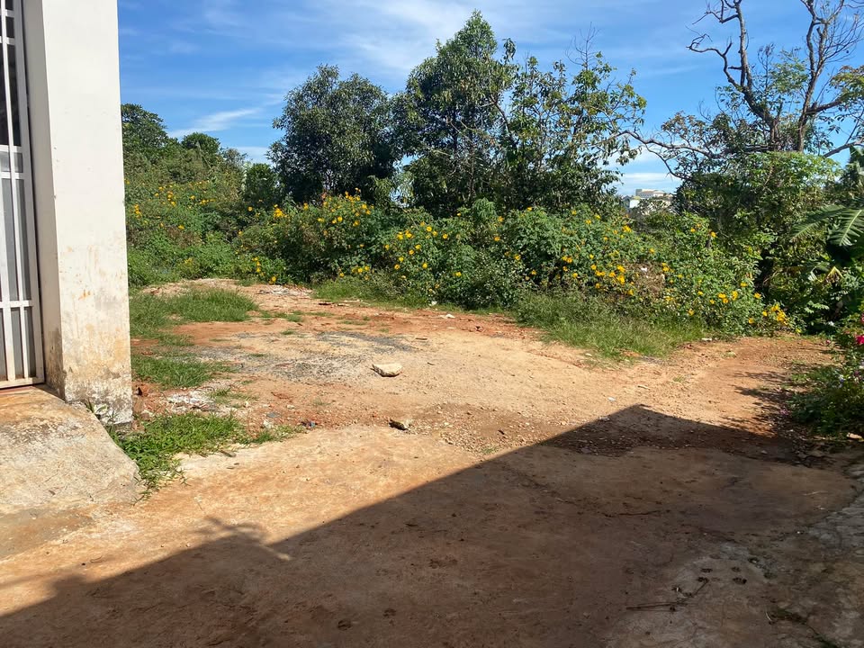 Đất hẻm 13 Lương Đình Của, Pleiku 137.5m² giá 1.2 tỷ - Đầu tư sinh lời ngay!